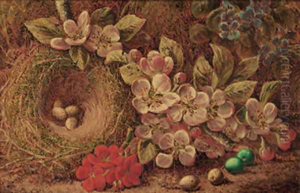 Apple blossom and a bird's nest with eggs - view 1