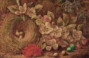 Apple blossom and a bird's nest with eggs by Oliver Clare
