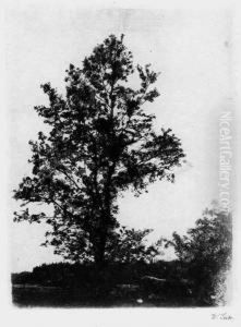 Der Grose Baum
