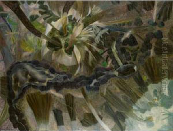 Botan Creek, Rainforest - view 1