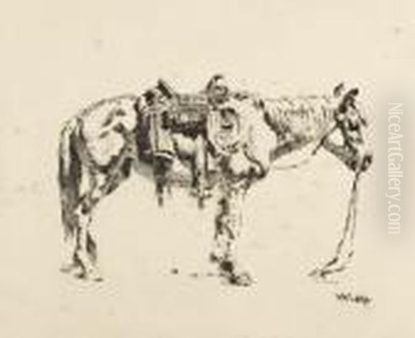 Saddled Horse - view 1