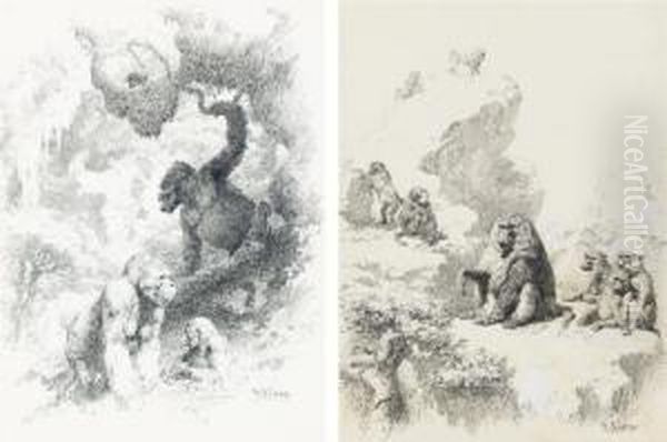 Baboons In The Lukenia Hills; And Gorillas In The River - view 1
