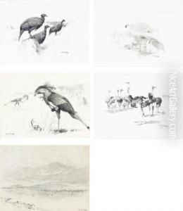 Vulturine Guinea-fowl; Masai
Ostriches; Secretary Birds; Flamingos At Lake Hannington; And Flamingos by William Robinson Leigh