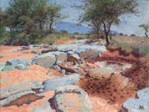''northern Waso Nyiro Waterhole''