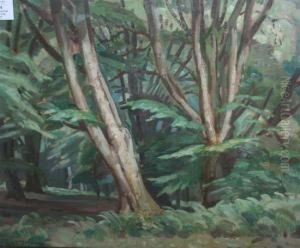 Woodland Scene