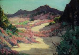 Fioritura Nel Deserto