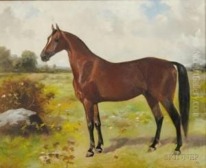 Portrait Of A Horse.