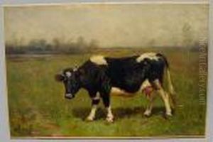 Cow In Pasture by Scott Leighton