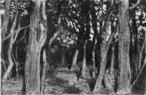 Markische Landschaft by Walter Leistikow