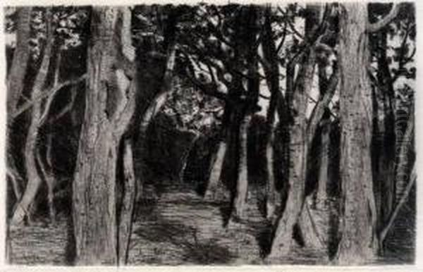 Baumgruppe - view 1