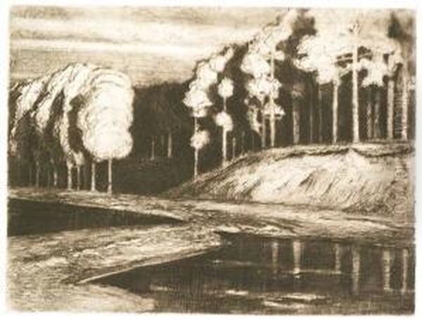 Abend (auch "waldsee" Oder "markischer See") - view 1