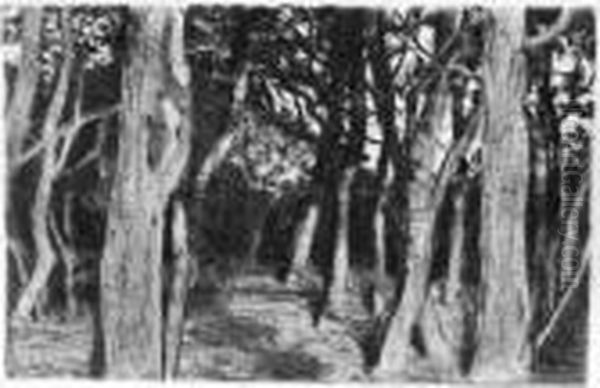 Baumgruppe (baumstamme) - view 1
