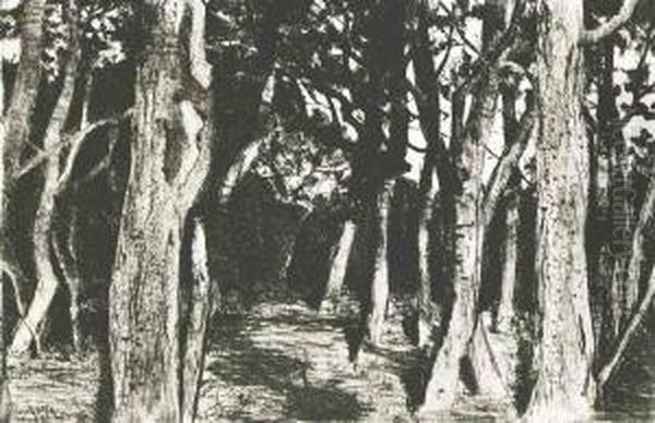 Baumgruppe (baumstamme) - view 1