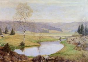 Hochgelegene Fluslandschaft by Thomas Leitner