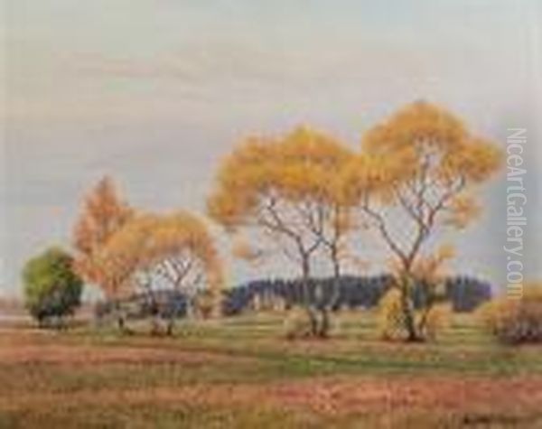 Baume Im Herbst - view 1