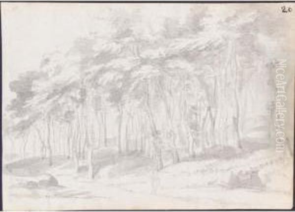Recto - view 1