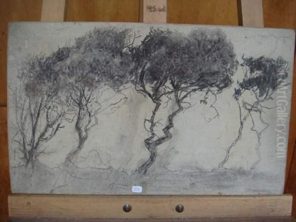 Les Arbres - view 1