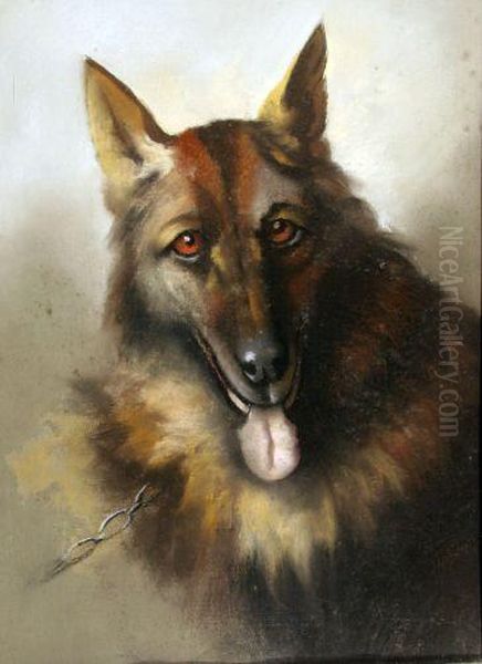 Cane Lupo - view 1