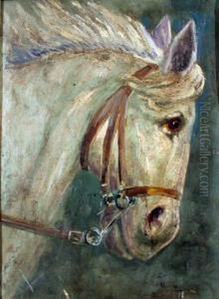 Cavallo Aurelio - view 1