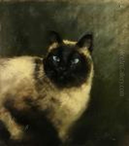Il Siamese - view 1