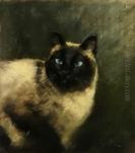 Il Siamese by Marino Lenci