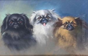Cani Pechinesi by Marino Lenci