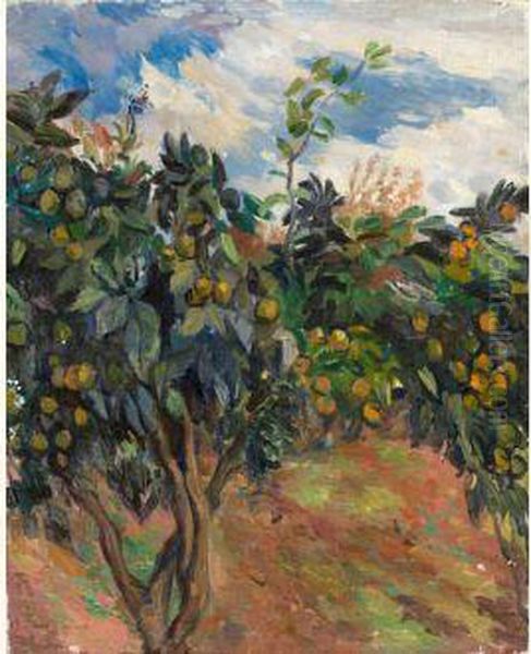 Orange Trees With Fruits - view 1
