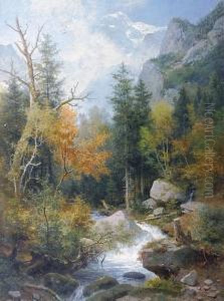 A Stream In A Wooded Landscape - view 1