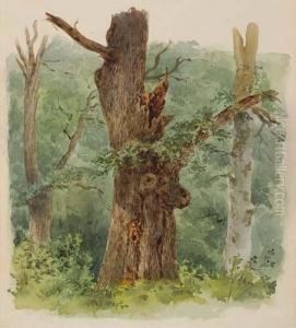 A Wooded Landscape With A Decaying Tree by Eduard Emil August Leonhardi