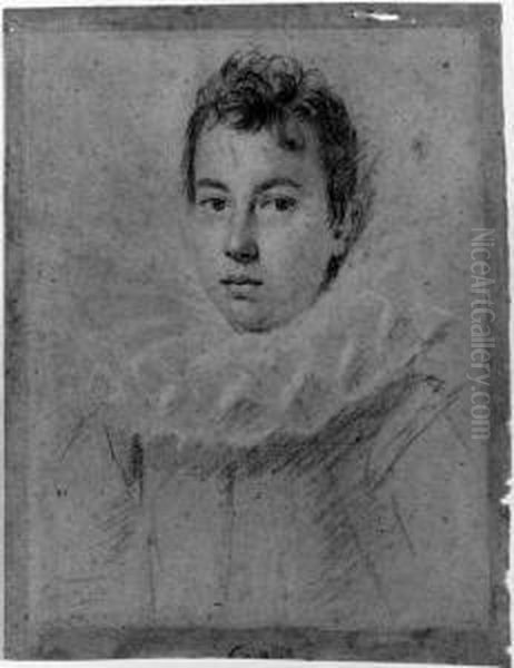 Portrait Of A Boy, Bust-length, In A Ruff - view 1