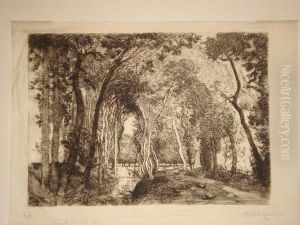 Sous-bois A La Rigonette (vendee)