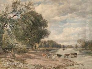 Cattle watering on the Thames at Richmond by David Cox