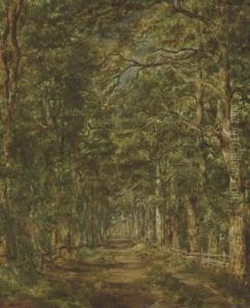 Chemin Dans Les Bois Au Souliers - view 1