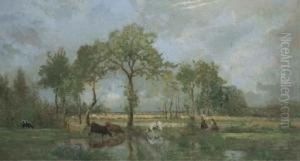 Marais Dans L'estuaire De La Loire