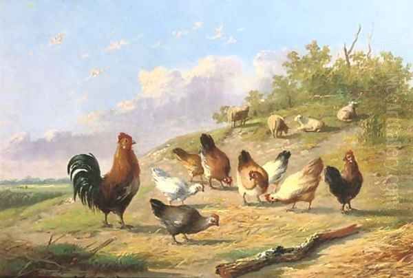 Poultry on a hillside - view 1