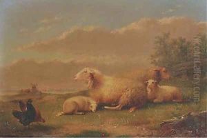 Sheep resting in a meadow by Auguste Coomans