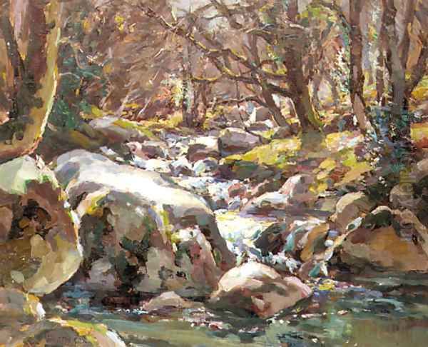 A Devonshire Stream - view 1