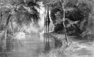 Riviere Dans Un Sousbois
