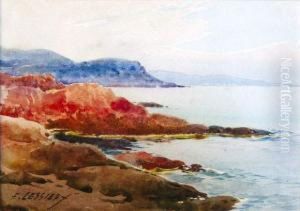 Bord De Mer Bord De Mer