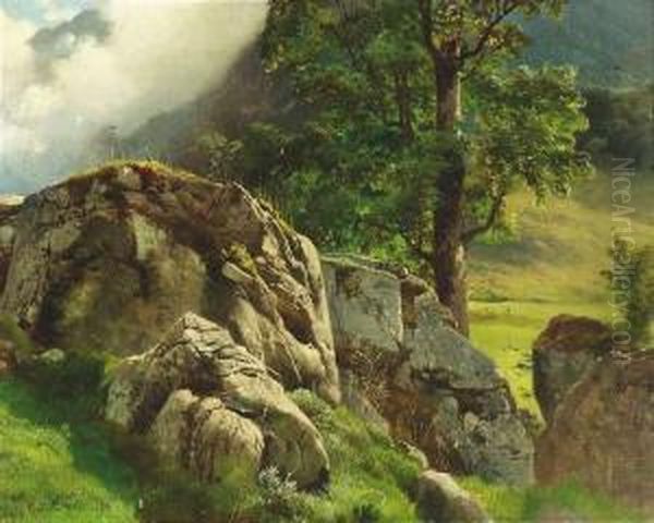 Summery Landscape. - view 1