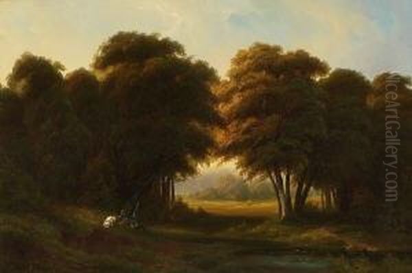 Waldlandschaft - view 1