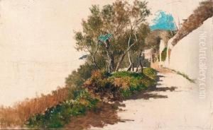 Paesaggio Paesaggio