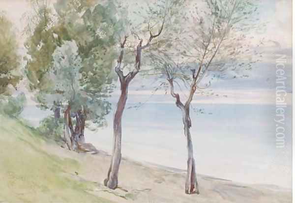 Trees on the coast at Baveno - view 1