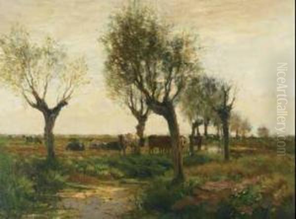 Cattle In An Evening Landscape - view 1