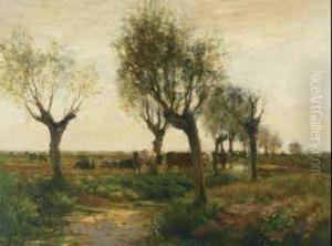 Cattle In An Evening Landscape
