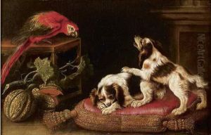 Chiens Et Perroquets Se Disputant by Renaud Levieux