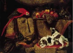 Nature Morte Avec Ara, Epagneul Et Ecureuil Nature Morte Avec Ara, Epagneul Et Ecureuil