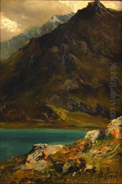 Il Lago Del Moncenisio - view 1