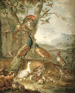 A peacock and peahen by Angelo Maria Crivelli, Il Crivellone