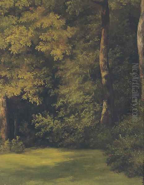 A woodland clearing - view 1